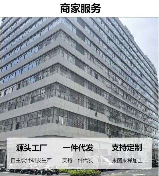 供二冲程小型便携式50HZ功率650WIE45动力110V60HZ 950发电机详情2
