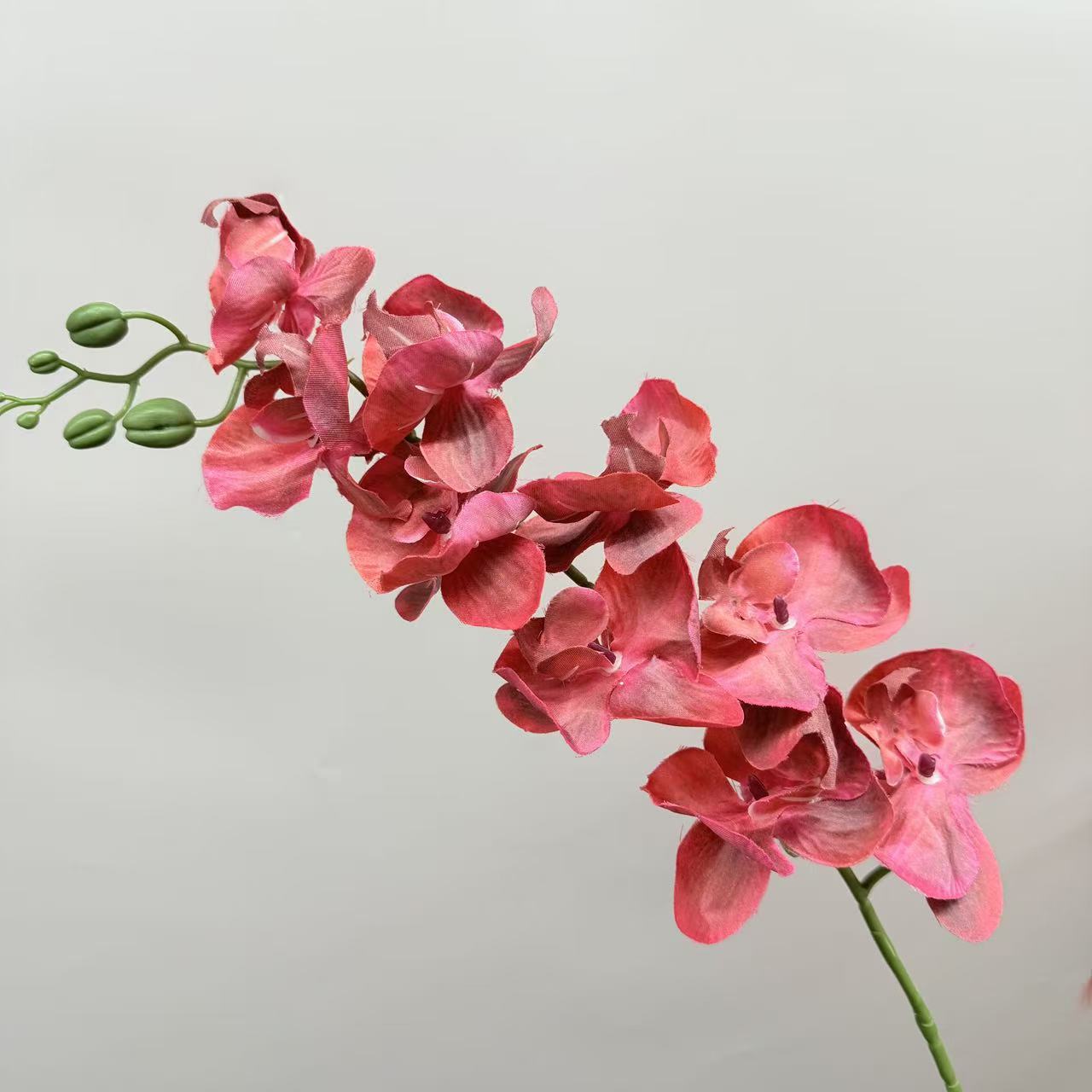 9头蝴蝶兰仿真花手感高级感逼真假花兰花艺场景布置酒店婚庆用花详情16