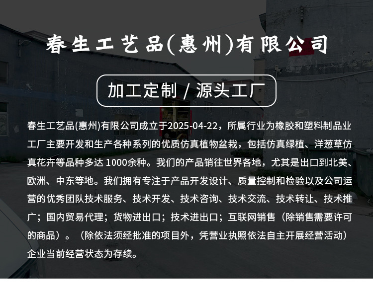 仿真狗尾巴草绿植盆栽批发酒店景观装饰办公室仿真园艺草皮摆件详情1