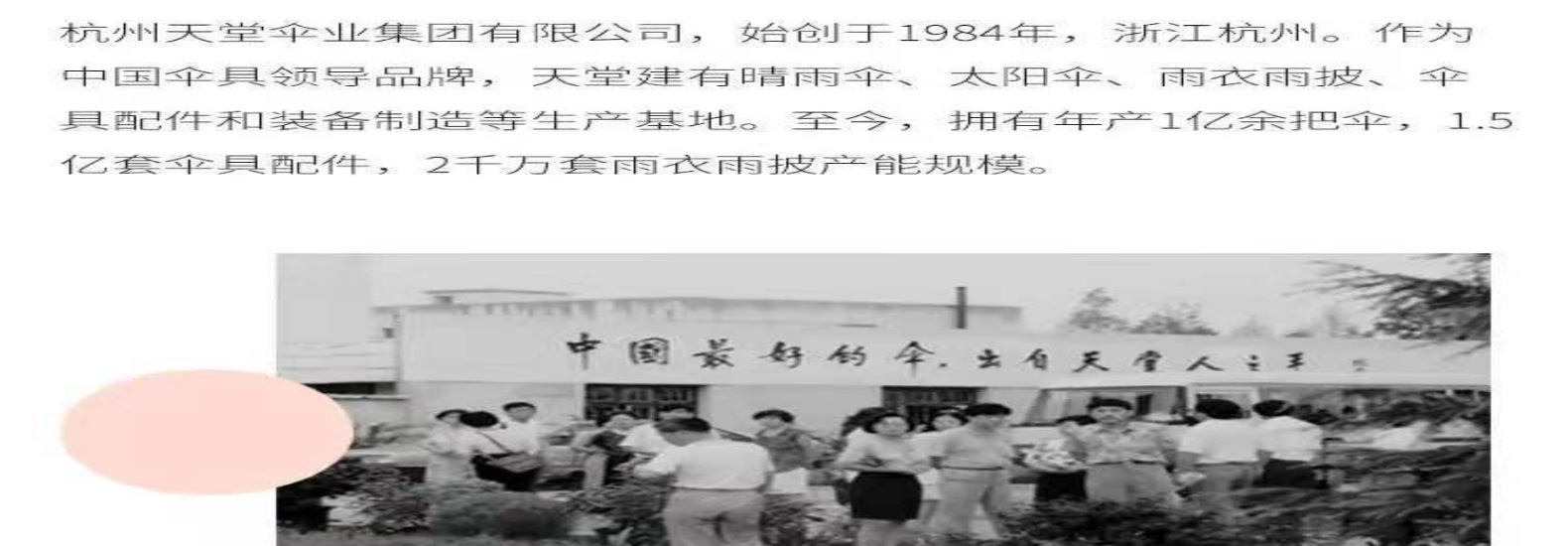 天堂雨伞批发13024E碰击布拒水商务双人自动直柄晴雨伞可印LOGO详情22