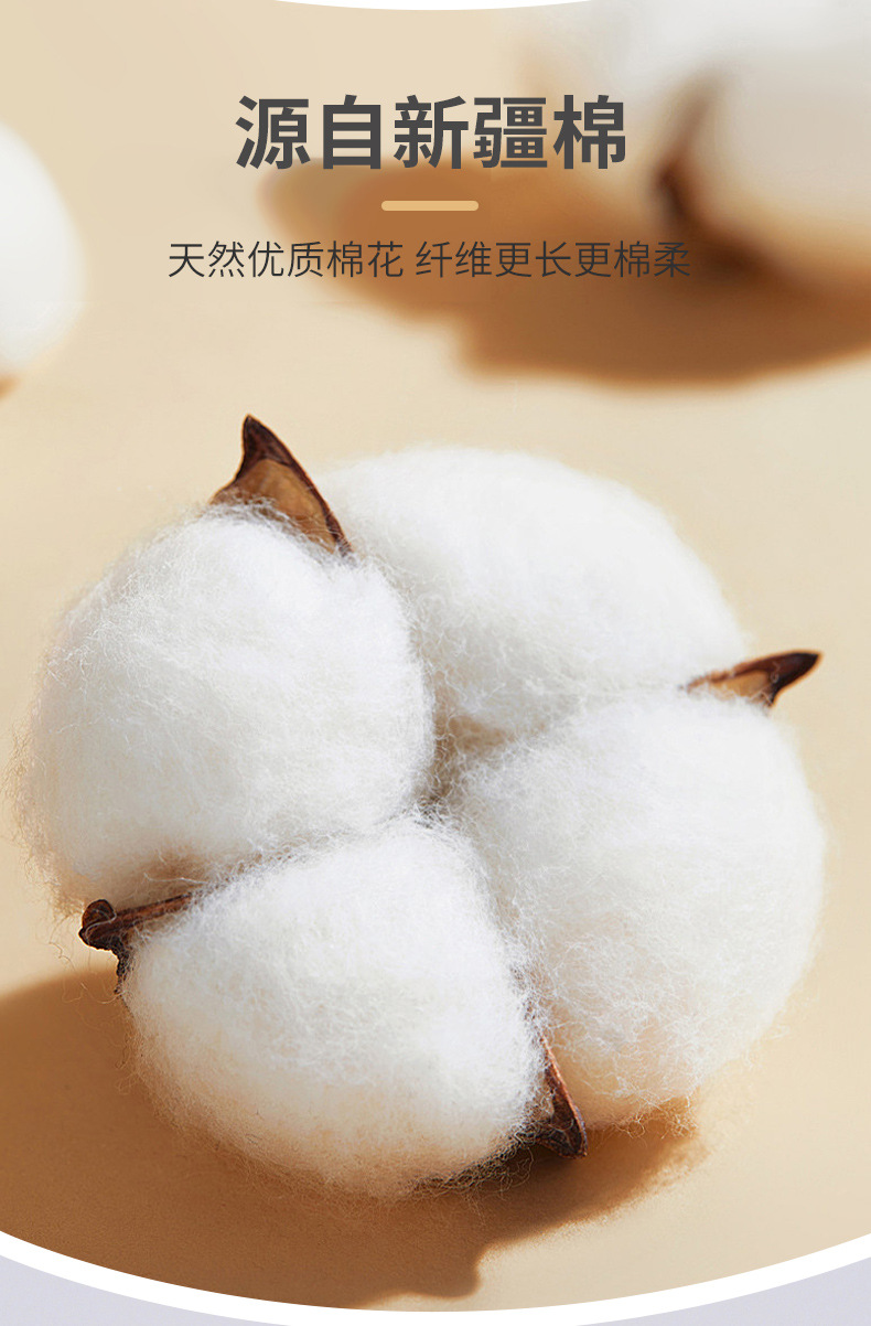 儿童短袖套装纯棉宝宝t恤短裤男童衣服女童夏装童装中小童婴童详情3