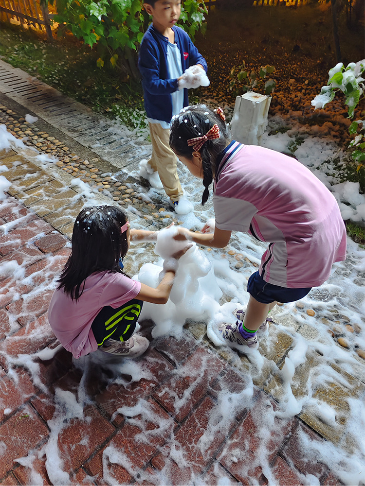 跨境雪花机650w/1200w/1500w仿真雪花制造机节日派对装饰道具舞台婚庆营造气氛造雪机详情13