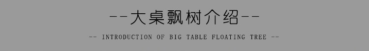 桌飘气球展示透明支架生日派对装饰布置立柱地飘路引气球地飘立柱详情11