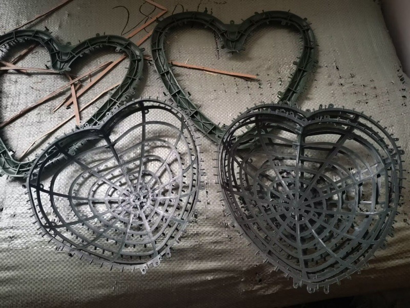 QQ图片20240724195520_副本