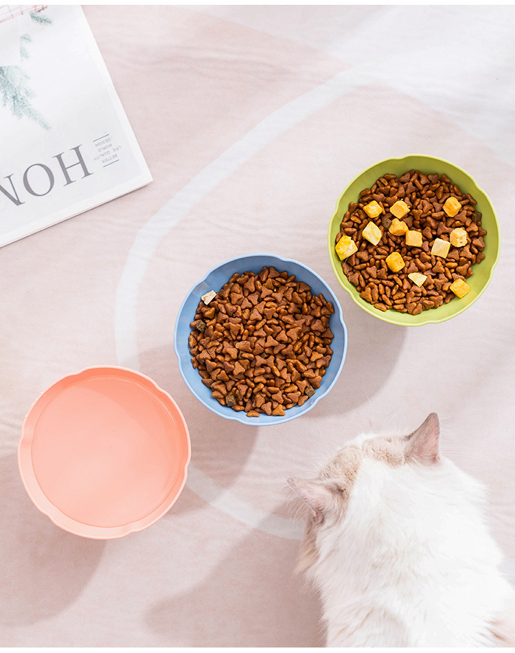 Pet bowls, cat bowls, dog bowls, anti-knock cat water and food bowls, small and medium-sized pet cat food bowls, dog plastic bowls pic 9