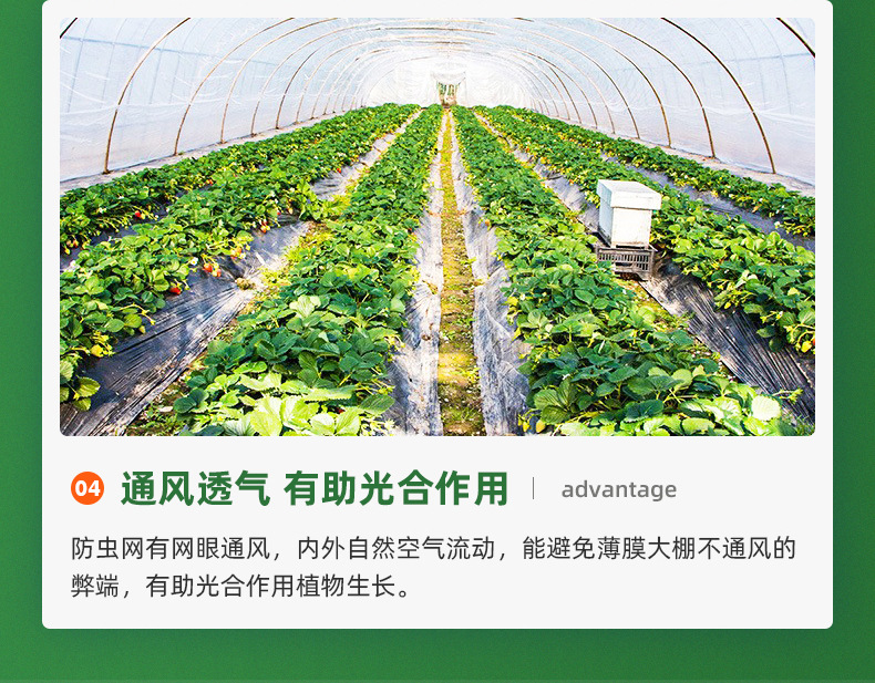 聚乙烯防虫网代发大棚防虫网60目果园防虫网罩跨境裁片防虫网详情8