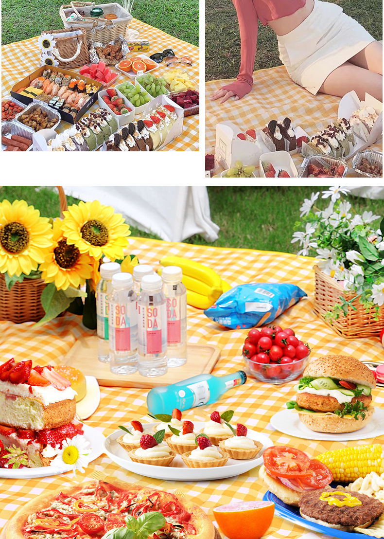 ins风野餐垫春游防潮垫加厚野外野炊户外地垫便携防水郊游野餐布详情9