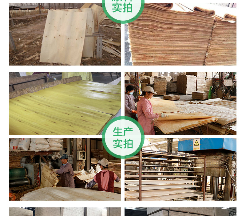 厂家批发杨木多层胶合板包装箱板托盘板垫板沙发板包装板详情9