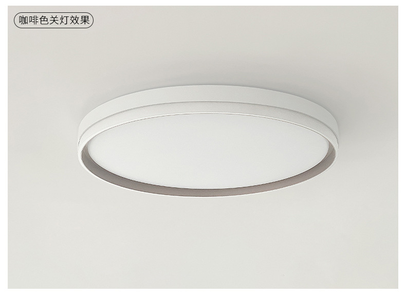 Full-spectrum eye-protecting, high-end, modern, simple and elegant bedroom room main light, balcony led ceiling light, Zhongshan lighting fixtures pic 32