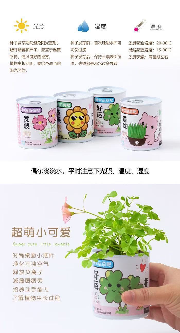 幼儿园儿童种植小盆栽学生迷你水果小盆栽盲盒办公室内桌面绿植物详情7