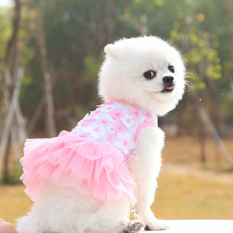 Pet dog, cat, Teddy, bichon Frise, peach blossom skirt, clothes, dog clothing, pet supplies manufacturer wholesale fashionable, comfortable and cute pet skirts pic 5