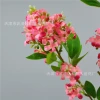Thousand-mile Fragrance single branch artificial lilac osmanthus green plant, home decoration window display cabinet ornament, ins style artificial plant details Picture