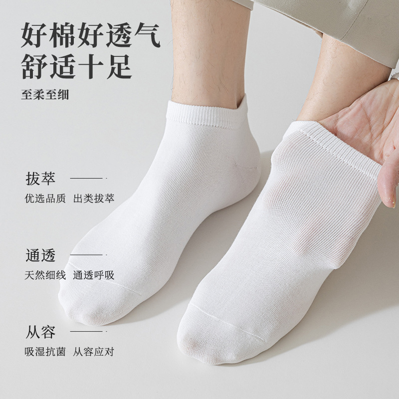 船袜、隐形袜实物图