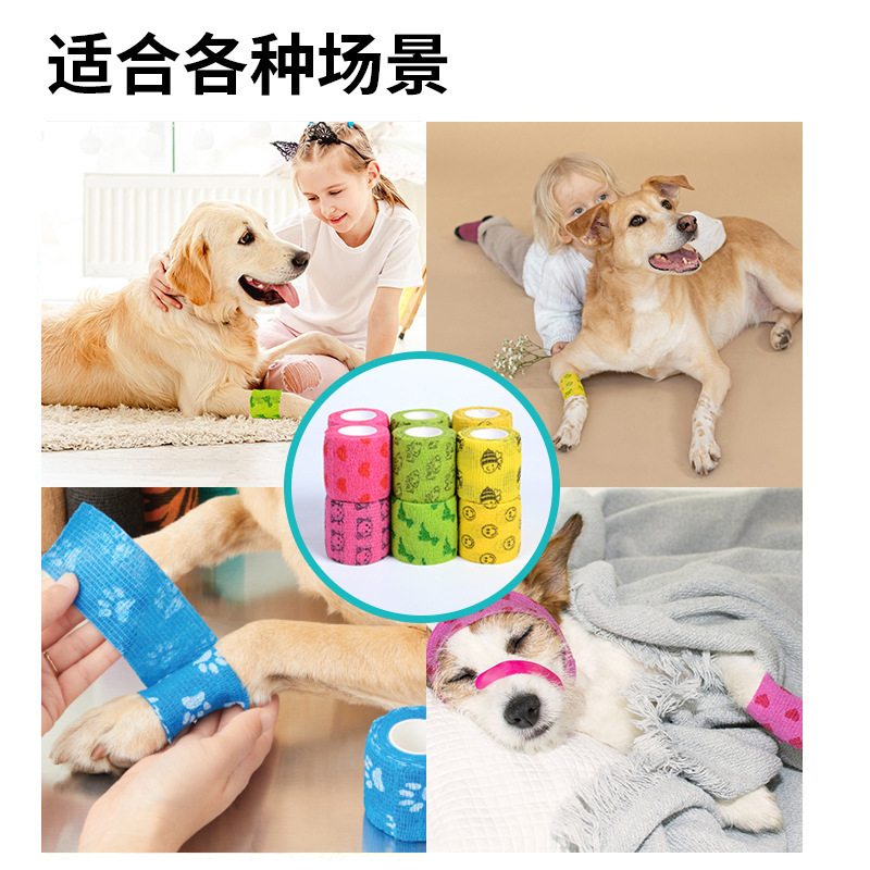 狗狗清洁美容工具实物图
