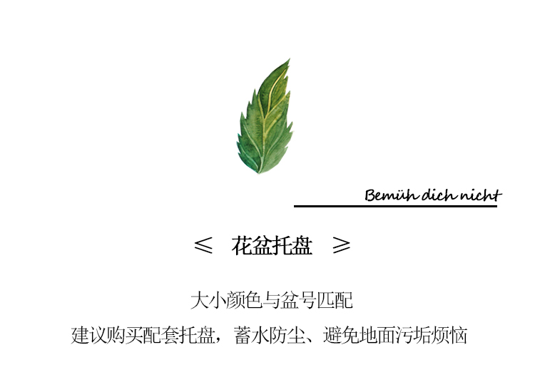 四季花盆北欧简约创意加仑盆深型Deepot大号个性阳台绿萝塑料花盆详情14