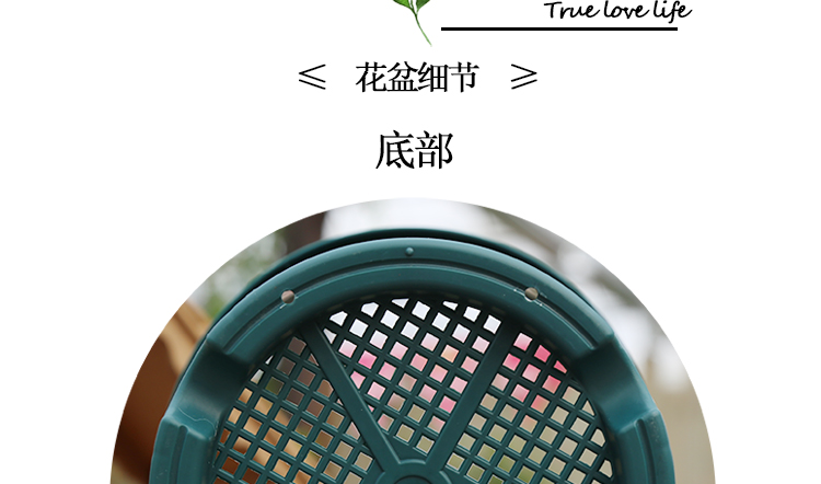 四季花盆北欧简约创意加仑盆深型Deepot大号个性阳台绿萝塑料花盆详情8