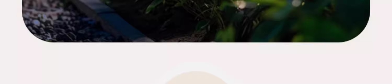 太阳能七彩光纤水母灯花园别墅插地草坪灯户外防水led氛围灯详情23