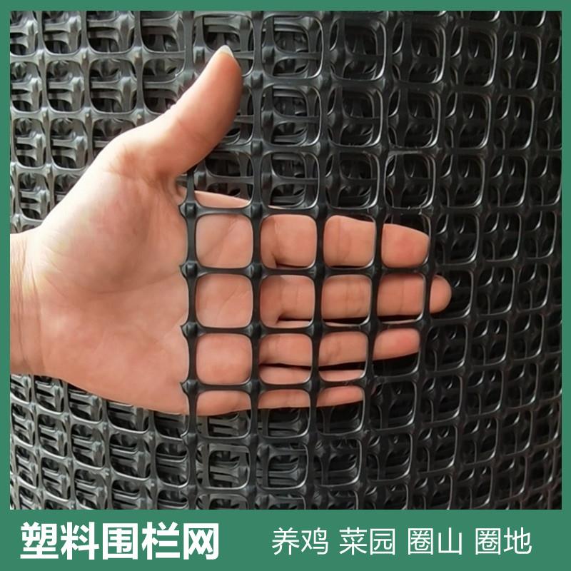 Plastic Mesh Fence, Chicken Breeding Protective Net Guardrail Fence, Outdoor Small Hole Balcony, Household Vegetable Garden Chicken Fence