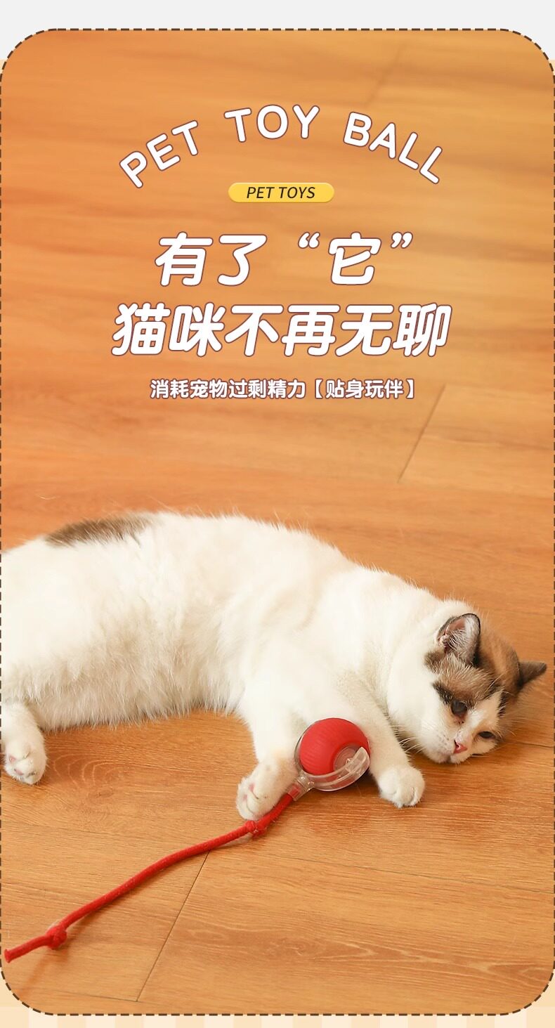 Cat toys: Automatic cat teasing ball for self-entertainment and boredom, smart cat teasing stick for energy consumption, Tuk Tuk ball, electric dog teasing ball pic 4