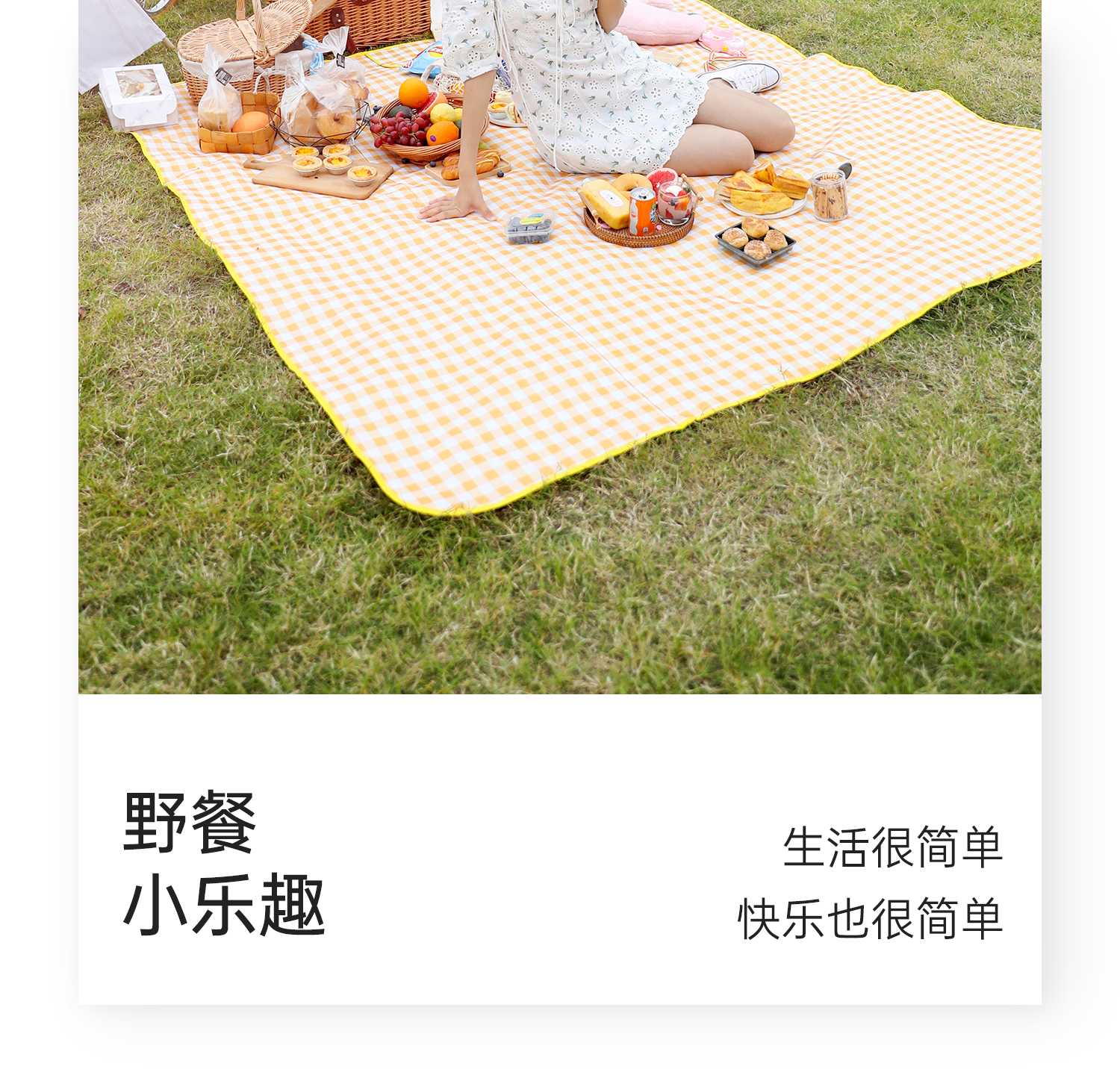 野餐垫防潮垫加厚户外露营野餐装备防水便携春游郊游可折叠野餐布详情16