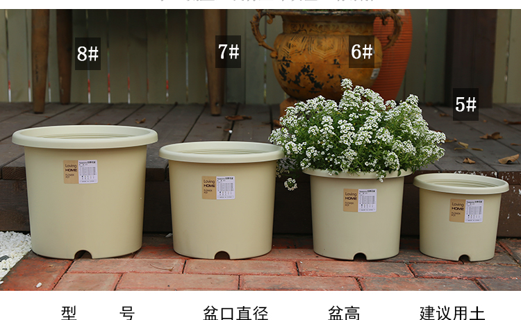 四季花盆北欧简约创意加仑盆深型Deepot大号个性阳台绿萝塑料花盆详情6