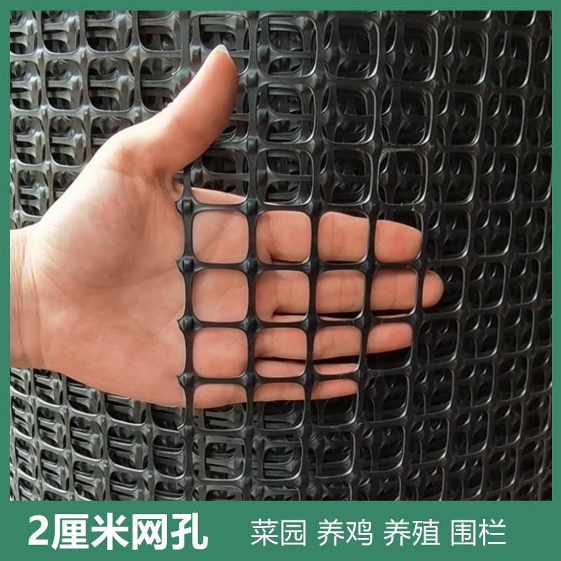 Plastic Mesh Fence, Chicken Breeding Protective Net Guardrail Fence, Outdoor Small Hole Balcony, Household Vegetable Garden Chicken Fence details Picture