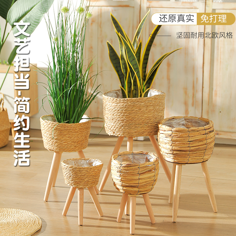 盆栽实物图
