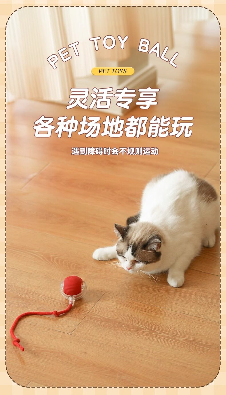 Cat toys: Automatic cat teasing ball for self-entertainment and boredom, smart cat teasing stick for energy consumption, Tuk Tuk ball, electric dog teasing ball pic 6