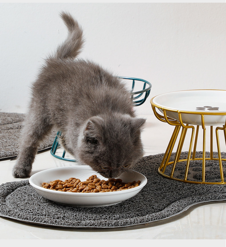 Pet food bowls, cute pet supplies, cat and dog food bowls pic 10