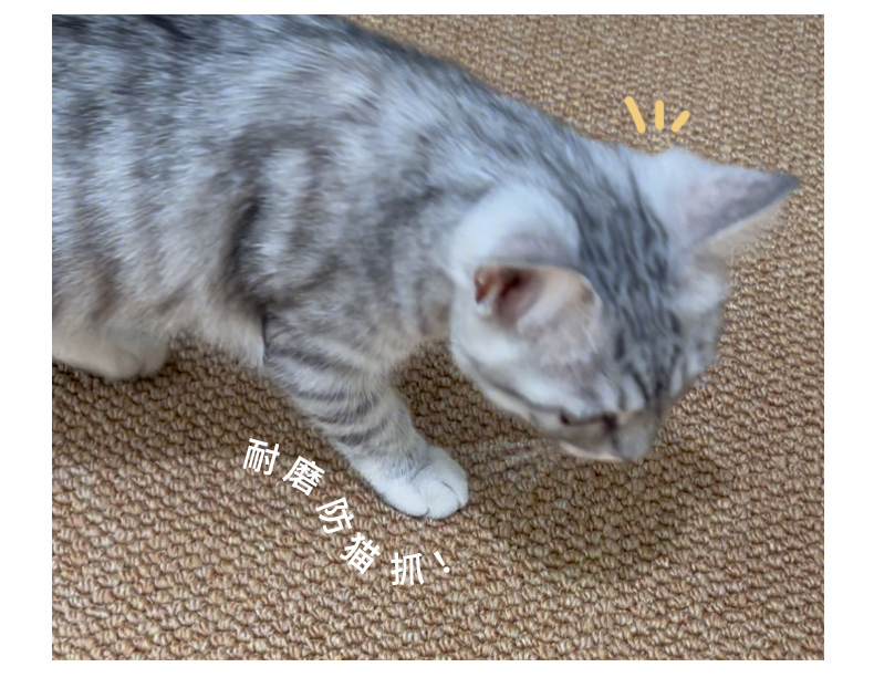 入户门地垫仿剑麻门口脚垫玄关家用裁剪防滑耐磨大门外地毯详情5