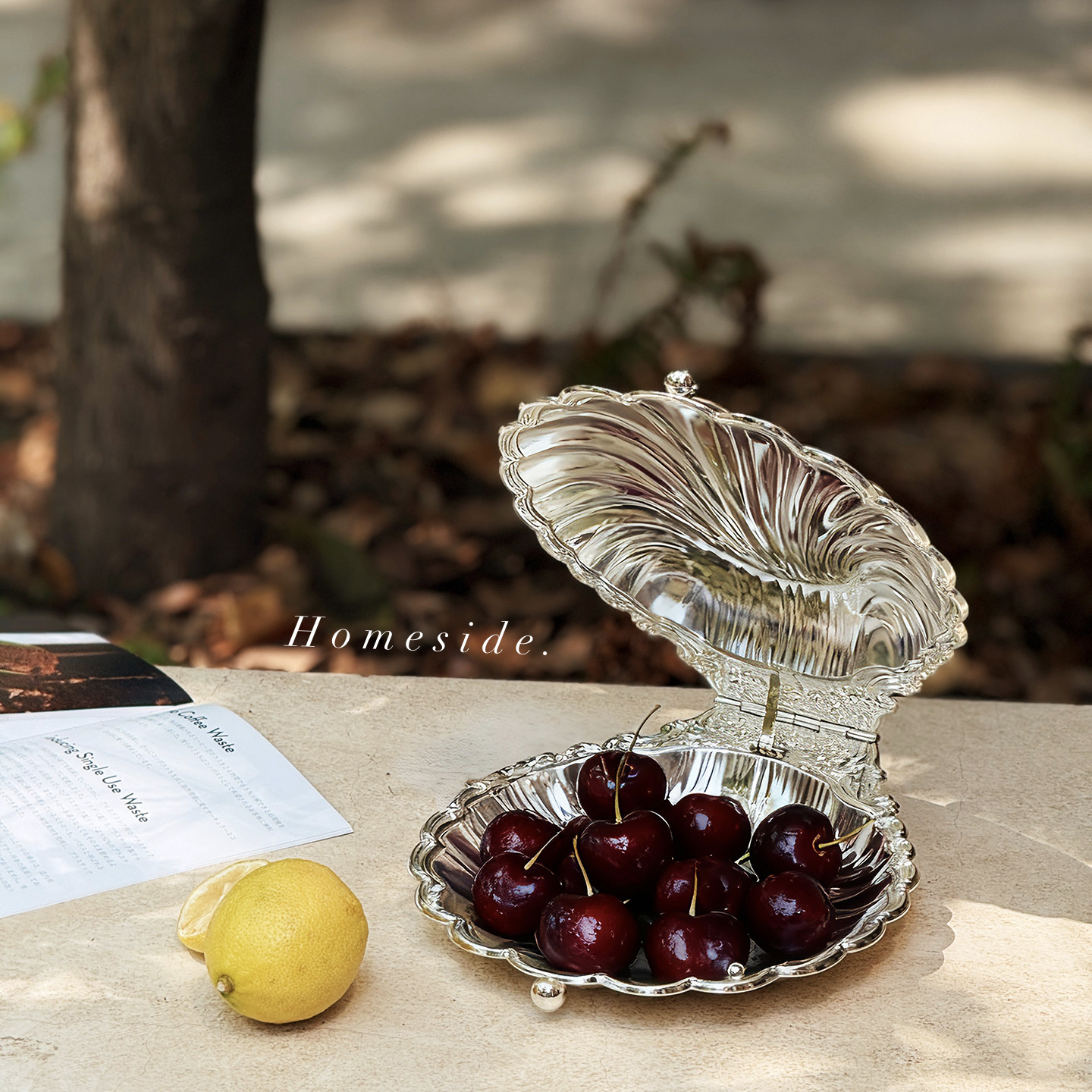 طوانات معدنية ذات أغطية معدنية ذات أغطية معدنية من طراز Homeside Whipping Shiels details Picture