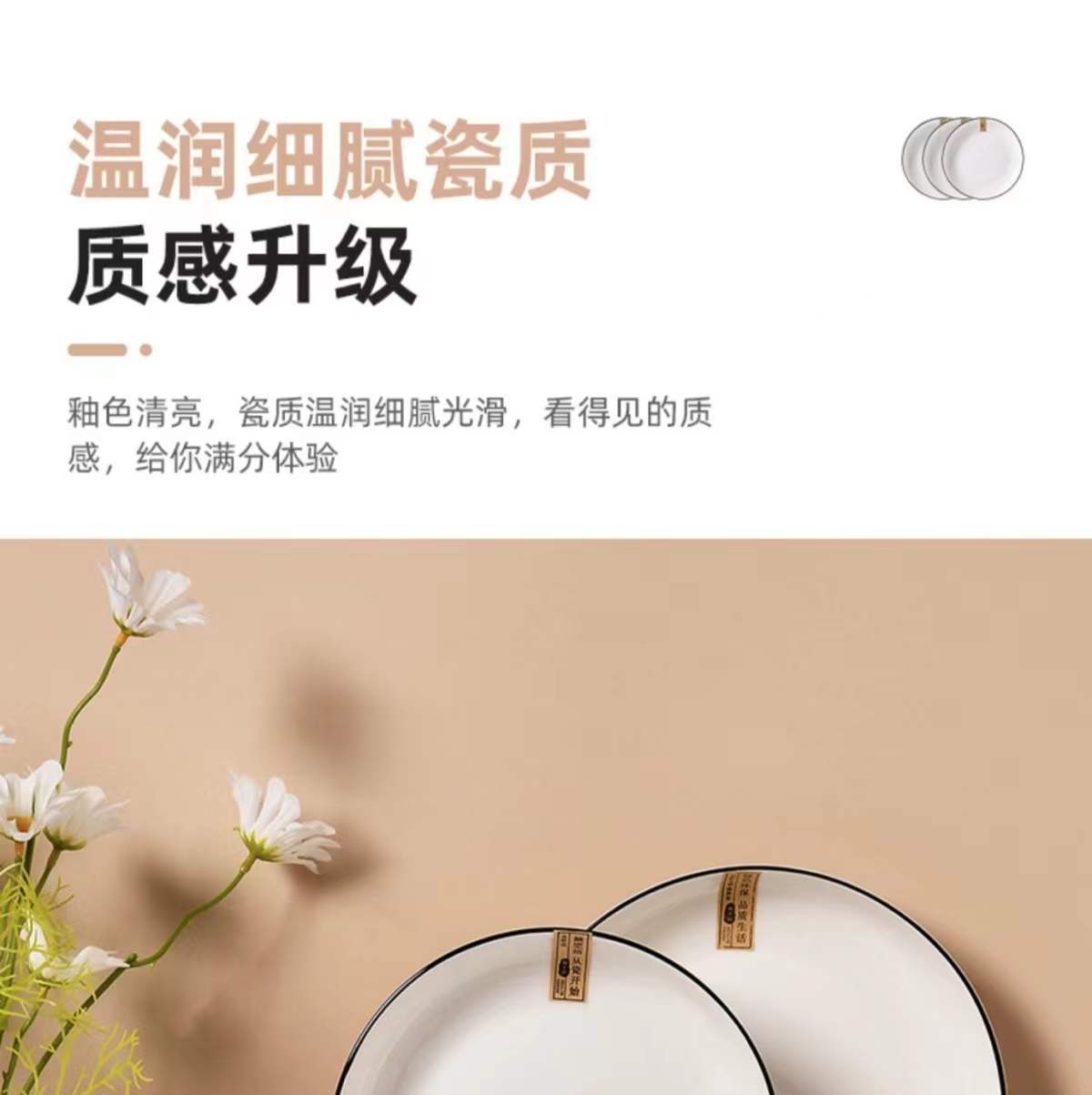 盘子菜盘家用创意陶瓷盘子高级感餐盘网红盘子北欧风简约餐具套装详情4