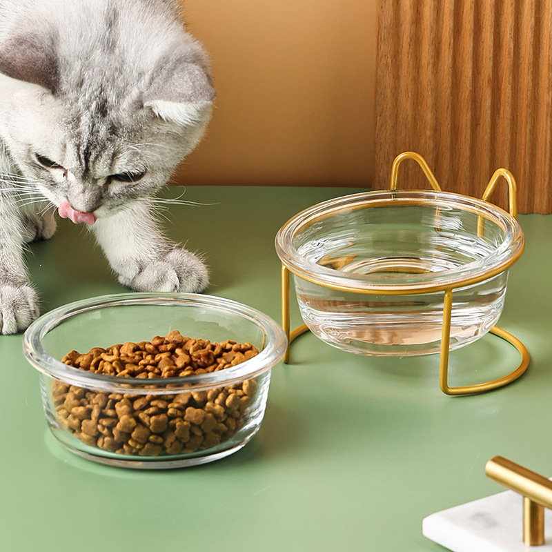 猫碗玻璃双碗猫咪食盆猫粮喝水碗护颈防打翻幼猫吃饭的碗小猫吃饭