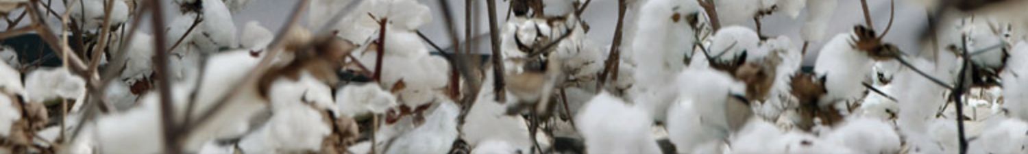 批发家纺60支长绒棉四件套秋冬全棉刺绣被套简约素色床上用品详情7