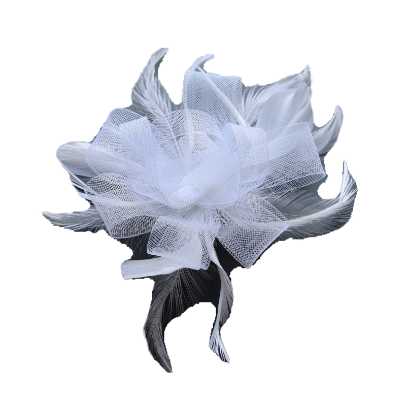 import白底实物图