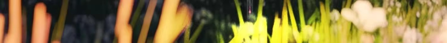 太阳能七彩光纤水母灯花园别墅插地草坪灯户外防水led氛围灯详情7