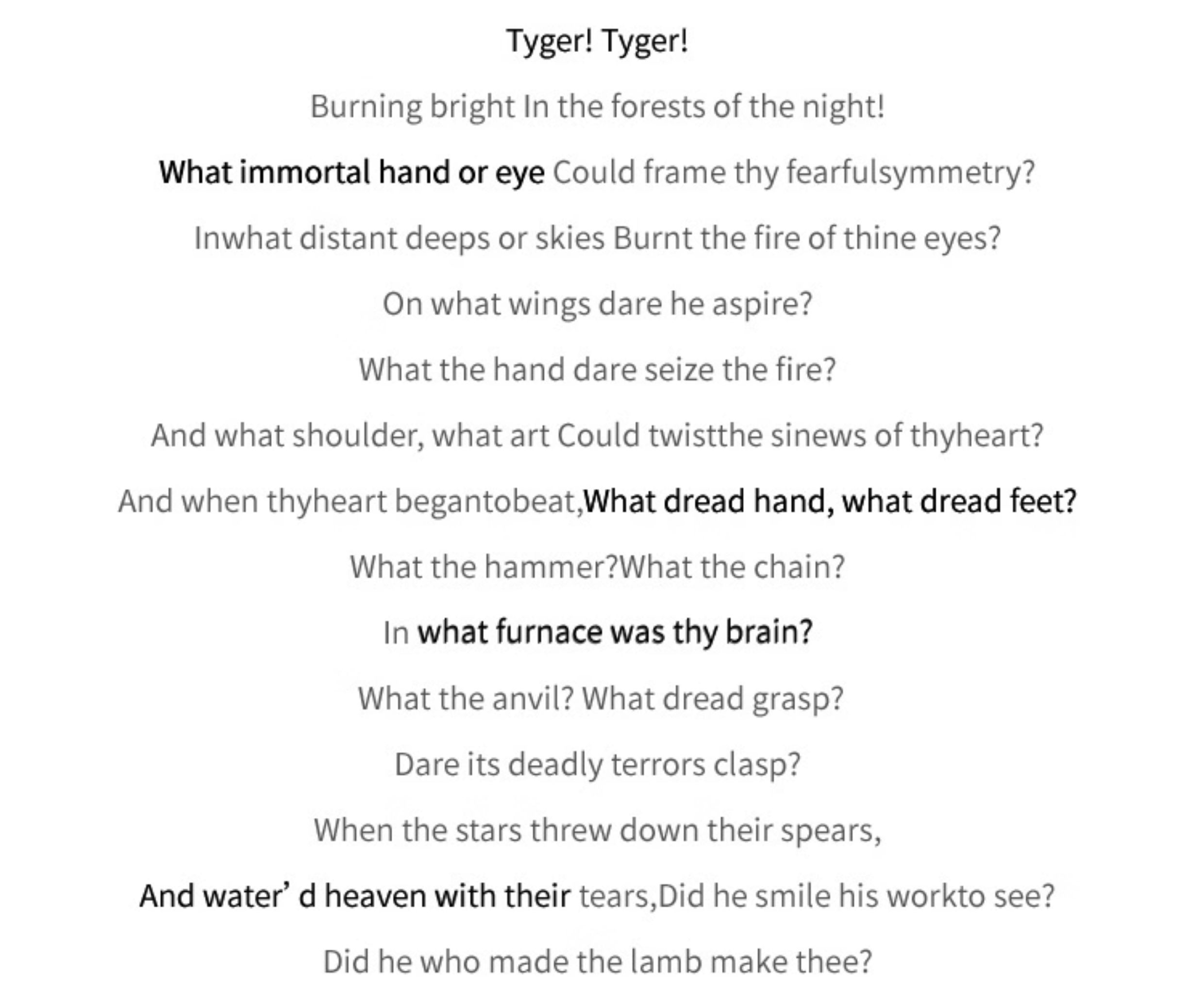 真皮厚底磨砂星星帆布鞋女2025秋冬新款复古板鞋运动阿甘德训鞋子详情2