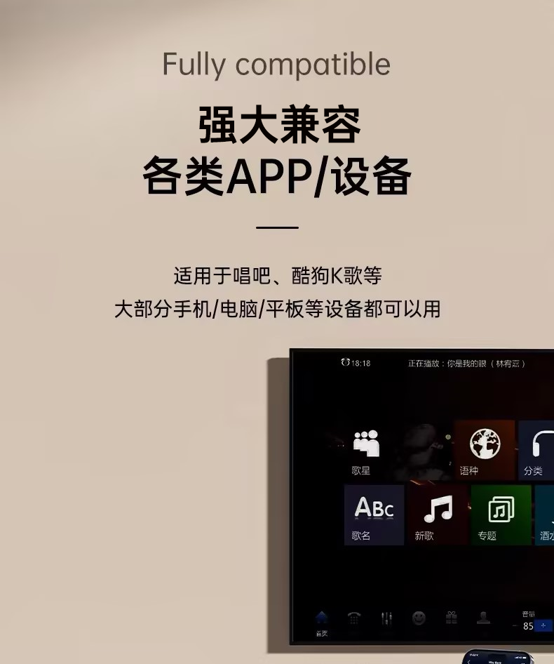 aemax话筒音响一体麦克风唱歌家用k歌蓝牙无线k歌送朋友生日礼物详情19