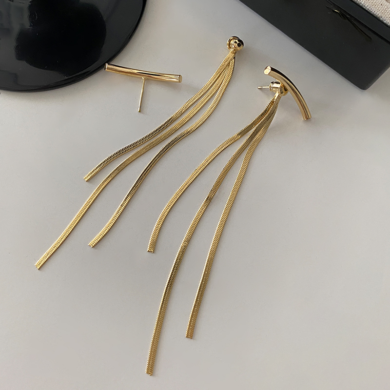Metal tassel earrings 2024 New bestsellers, feminine earrings with a light luxury and high-end feel, long version, elegant and smiling ear needles Application Scenario
