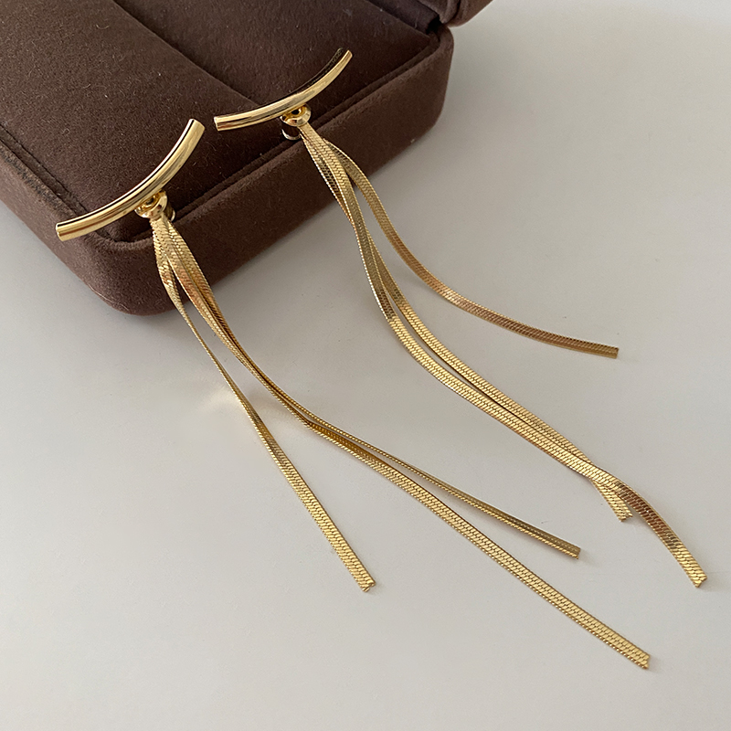 金属流苏耳环2024新款爆款女人味耳饰轻奢高级感长版气质微笑耳针