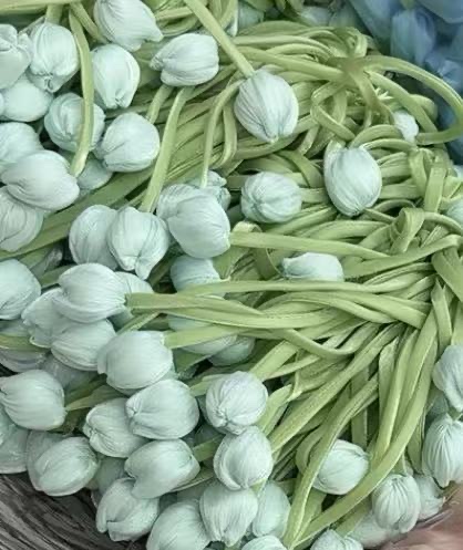 郁金香元素设计 头饰衣服帽子等多用途装饰品 独特花卉图案 时尚潮流配饰白底实物图