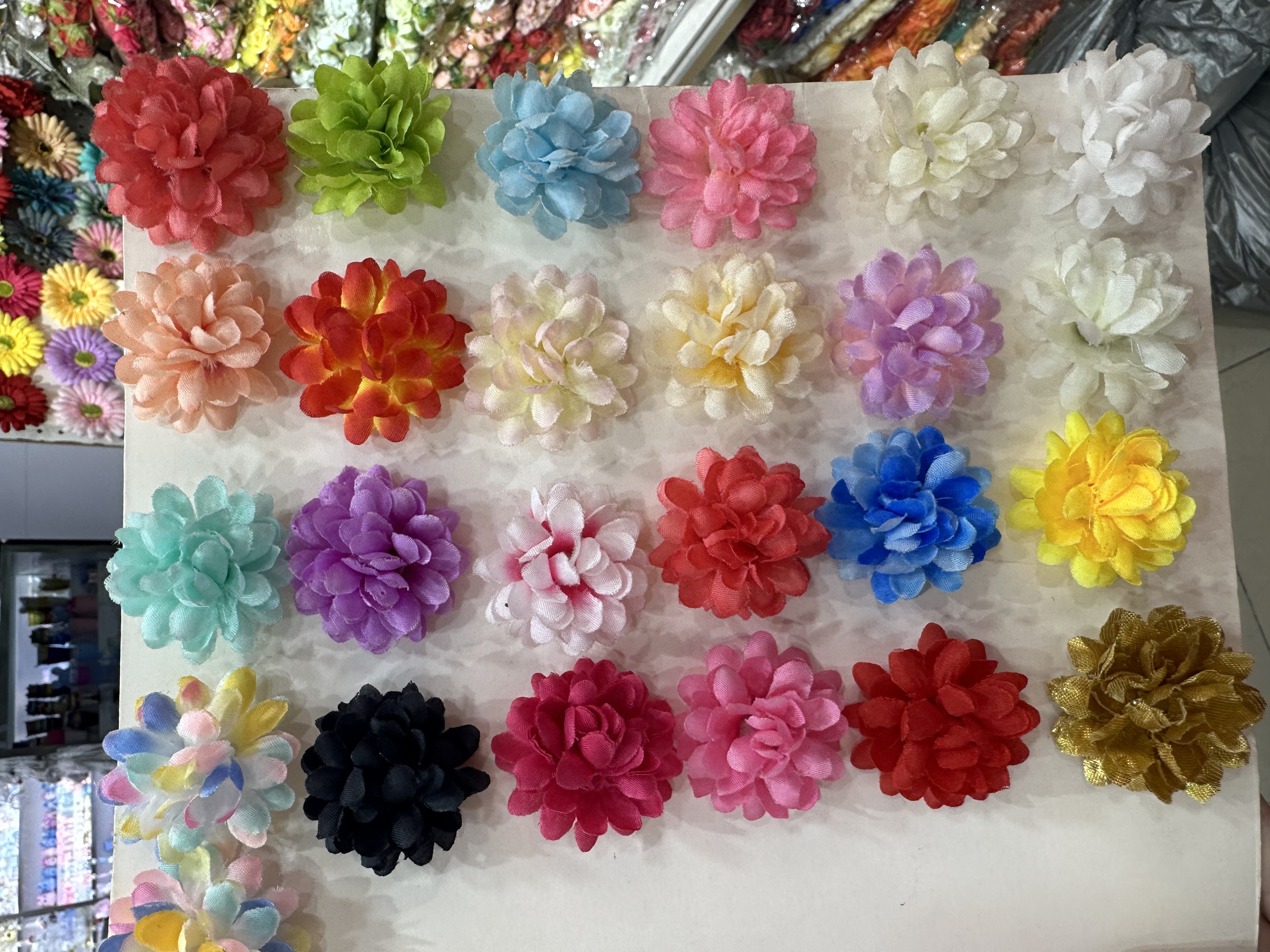 花卉盆栽多肉植物绿植室内阳台花卉装饰观赏植物家庭园艺绿植盆景