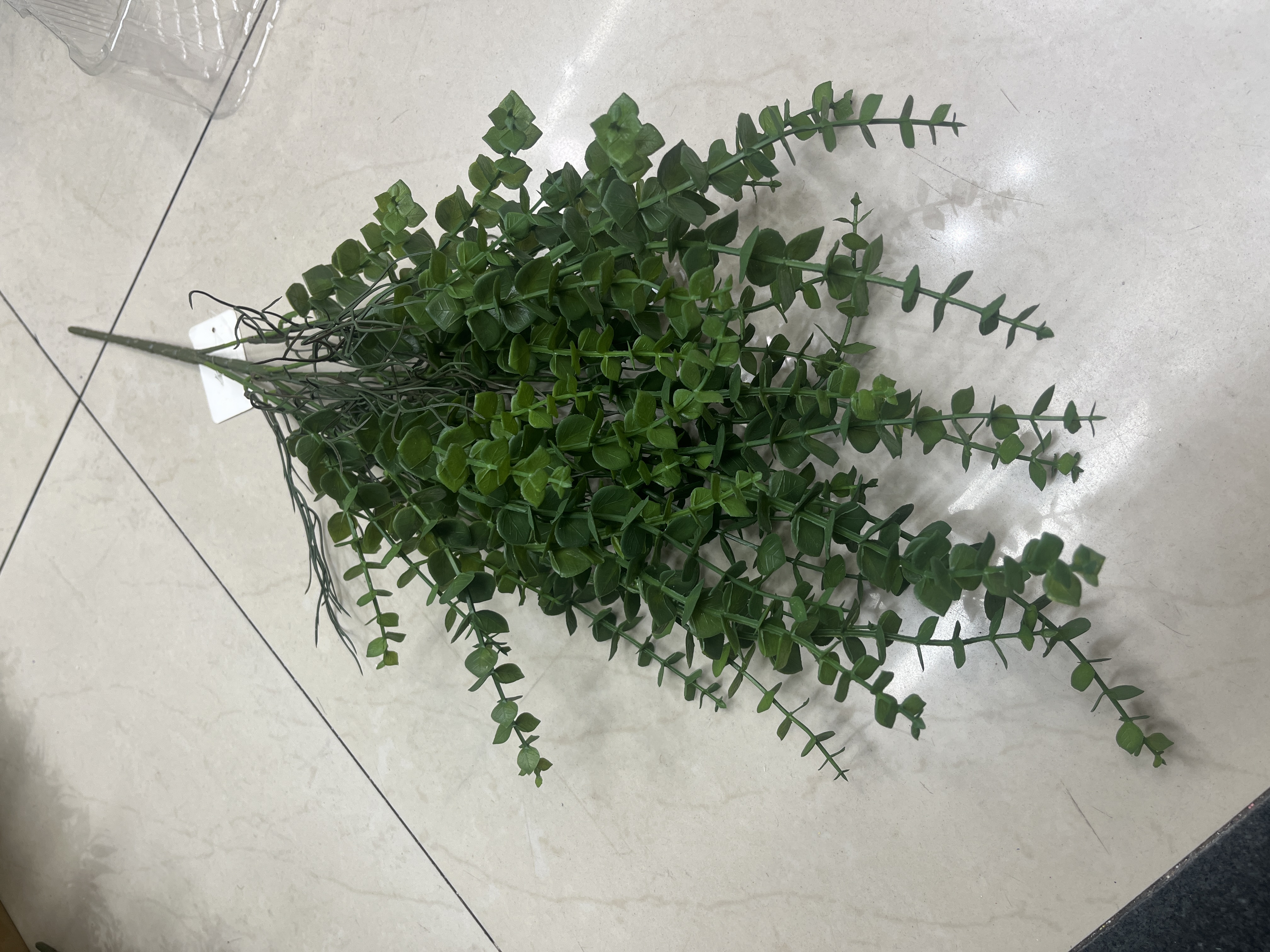 绿意盎然多肉盆栽植物室内阳台绿植绿萝多肉组合观赏盆景养护