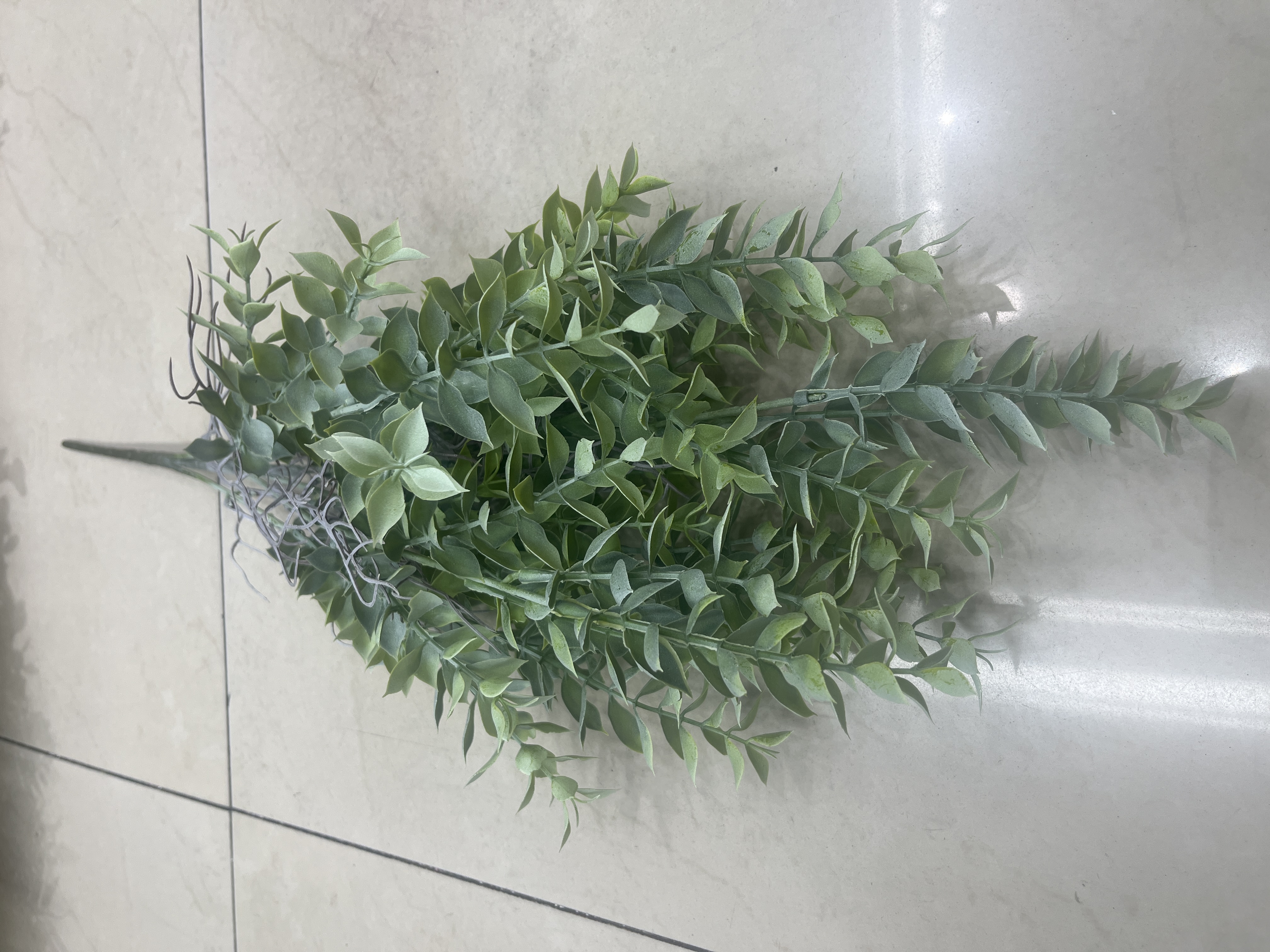 绿意盎然盆栽植物室内阳台多肉绿植绿萝空气净化观赏植物盆景

