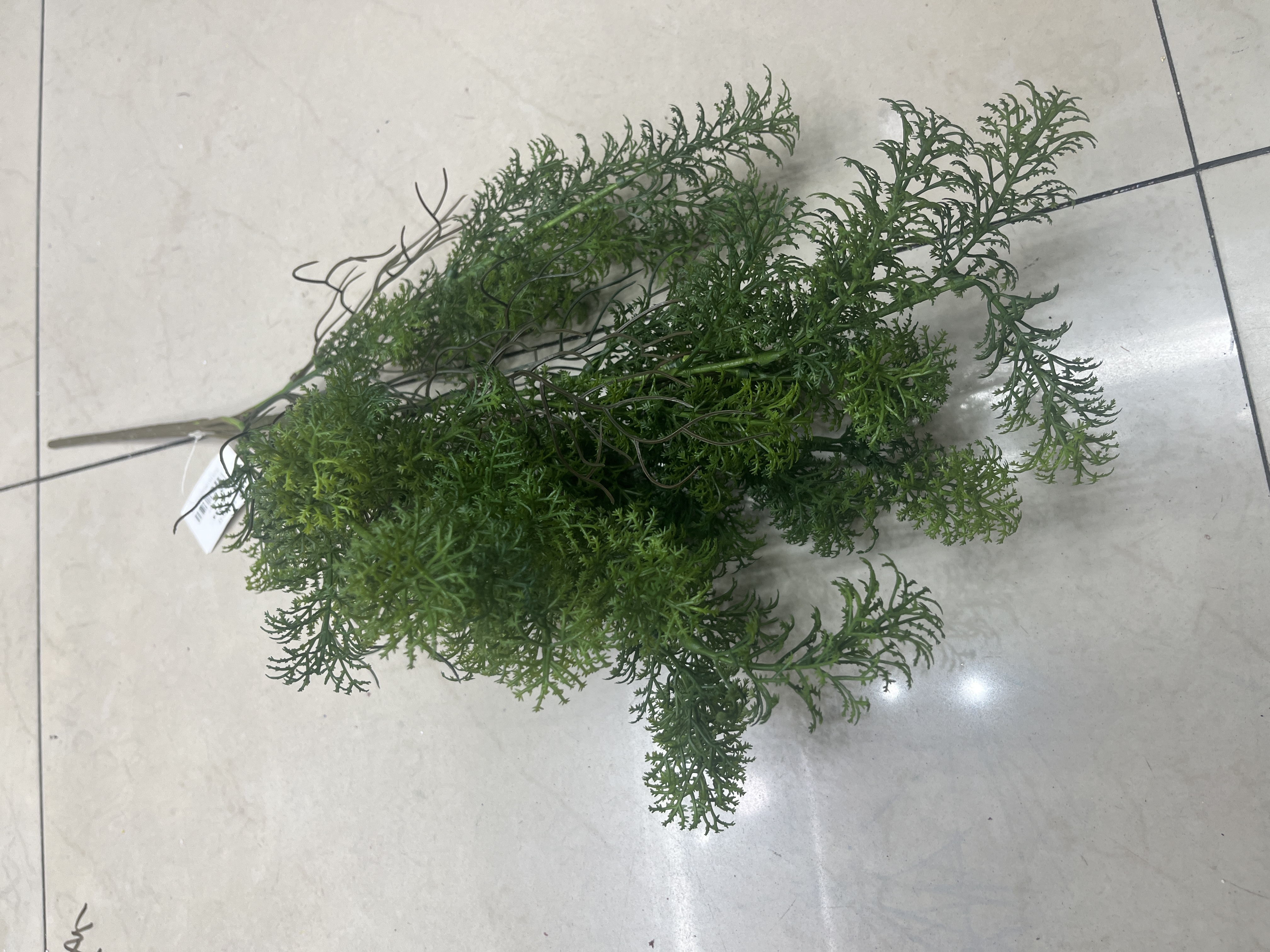 绿意盎然多肉盆栽植物室内阳台观赏绿植绿植盆景多肉组合养护简易