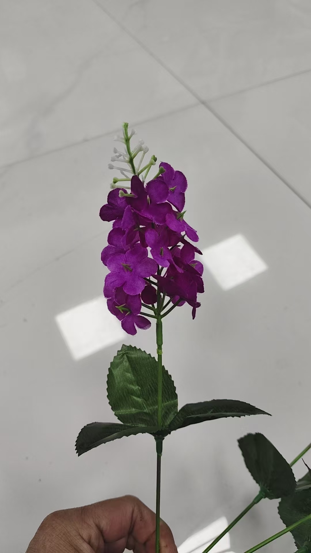 花卉盆栽多肉植物绿植室内阳台办公室观赏植物花卉组合套装