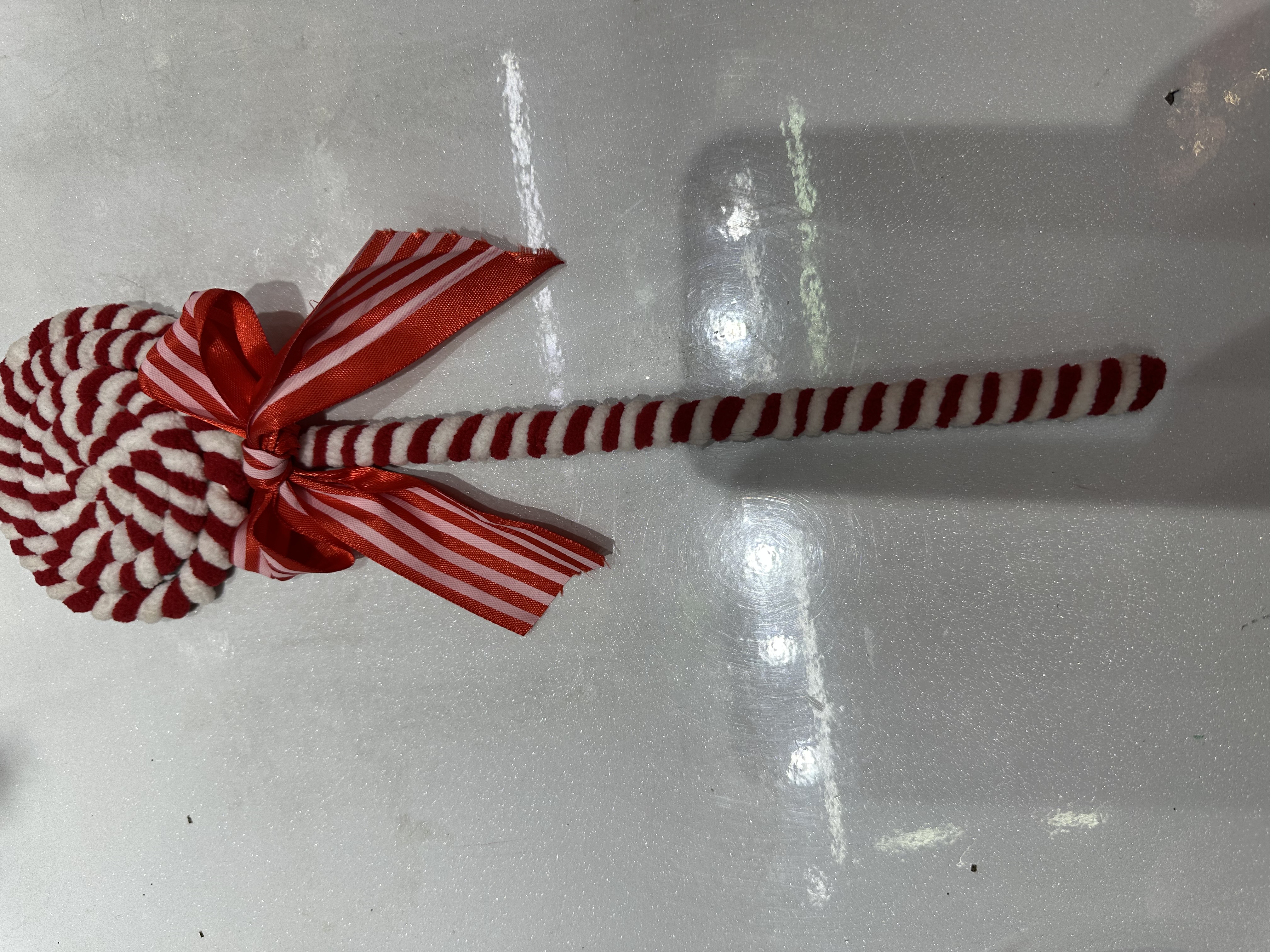 花卉白底实物图