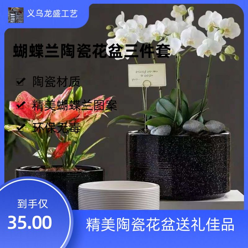 新品上市！蝴蝶兰陶瓷花盆，一套三个，多种颜色任你选，装点你的绿色生活，错过可能会有遗憾哦！详情图1