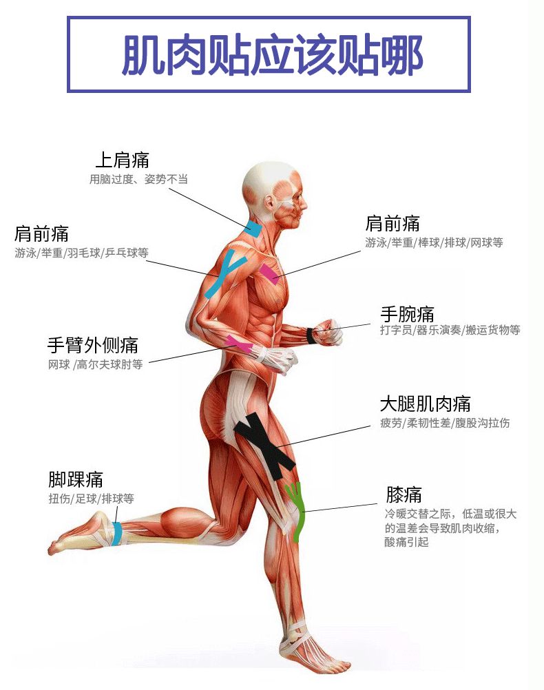 专业肌内效贴布胶布弹性自粘运动绷带肌内效贴肌肉贴肌贴肌肉拉伤详情4