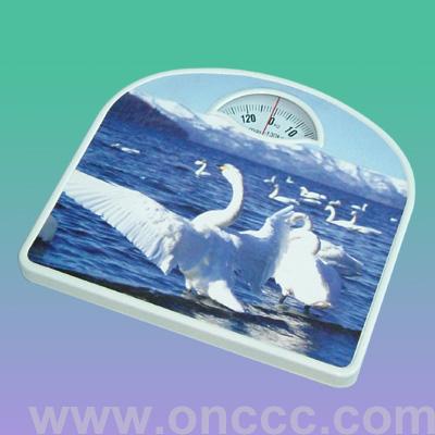 Human scales health scales household scales
